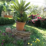 Art Flowers And Culture Apartment Mystras