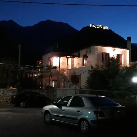 Art Flowers And Culture