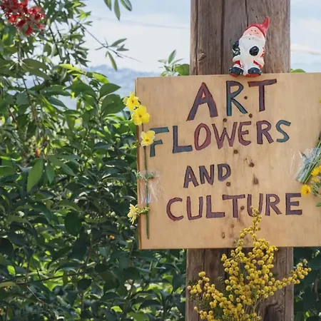 Apartman Art Flowers And Culture Misztrász