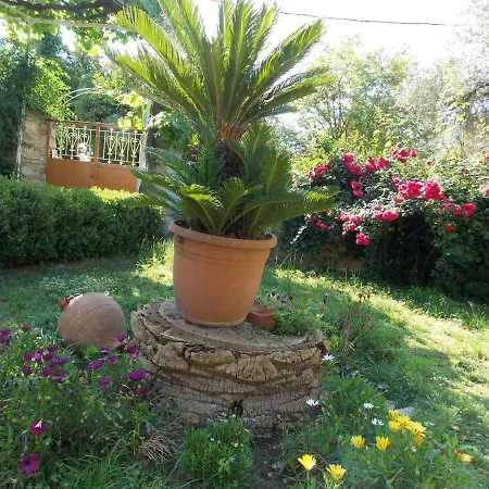 Art Flowers And Culture Apartment Mystras