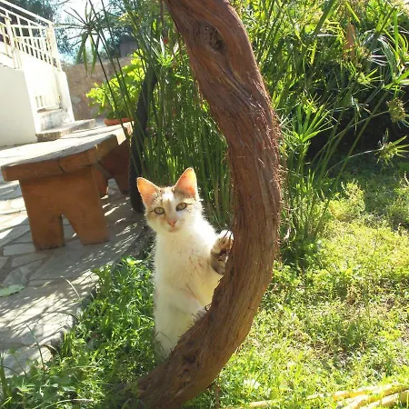 Διαμέρισμα Art Flowers And Culture *