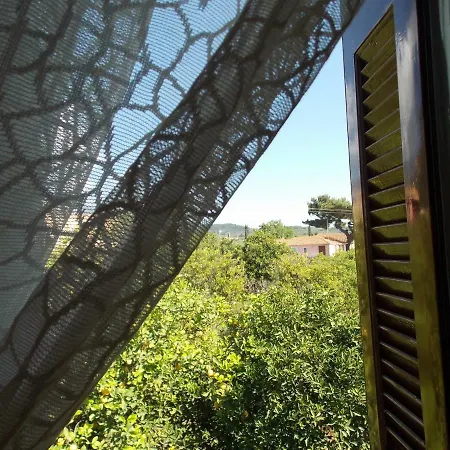 Art Flowers And Culture Apartmán