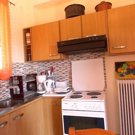 Art Flowers And Culture Μυστράς