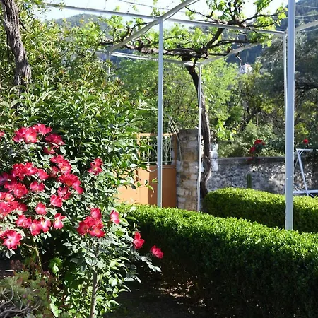 Art Flowers And Culture Apartman
