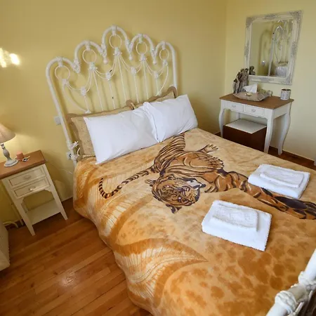 Art Flowers And Culture Apartment