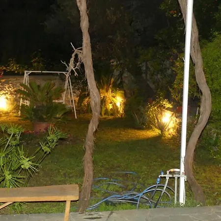 Art Flowers And Culture