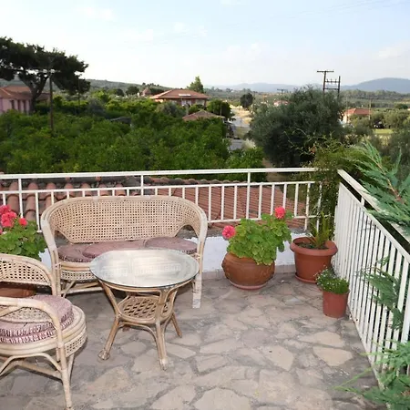 Art Flowers And Culture Mystras