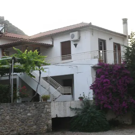 Art Flowers And Culture * Mystras