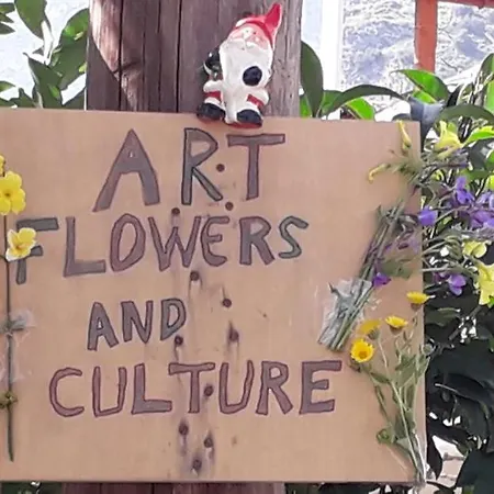 Art Flowers And Culture Mystras