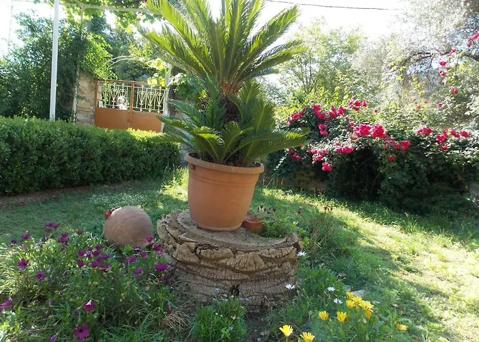 Art Flowers And Culture Appartement Mystras