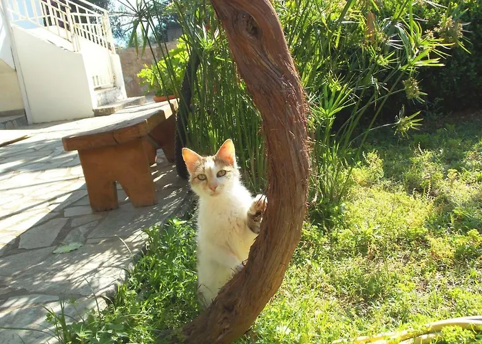 公寓 Art Flowers And Culture *