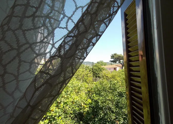 Art Flowers And Culture Διαμέρισμα