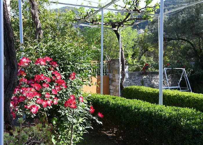 Art Flowers And Culture Διαμέρισμα