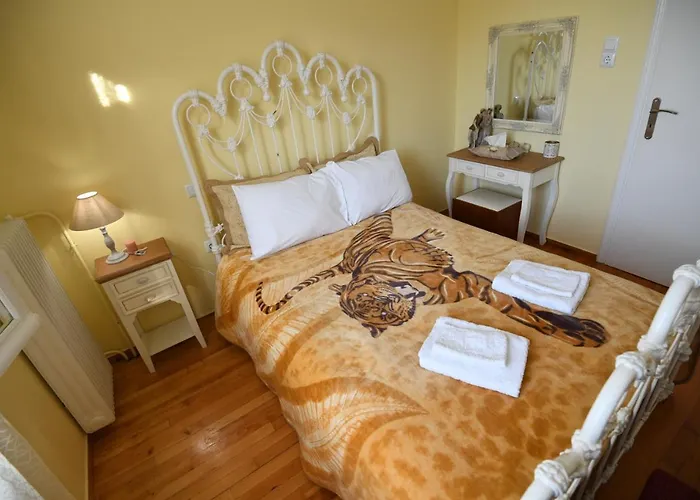 Art Flowers And Culture Appartement