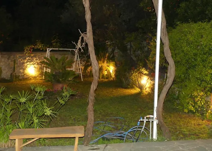 Art Flowers And Culture